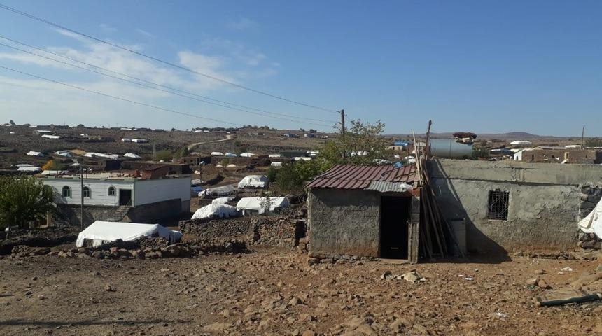 12 ineği çalıp kayıplara karıştılar