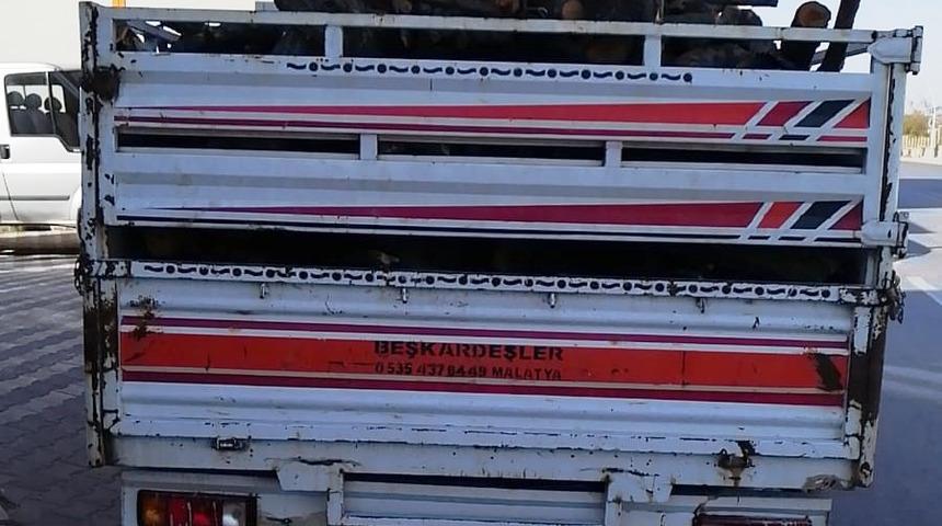 9 ton odun çalan 2 şüpheli yakalandı