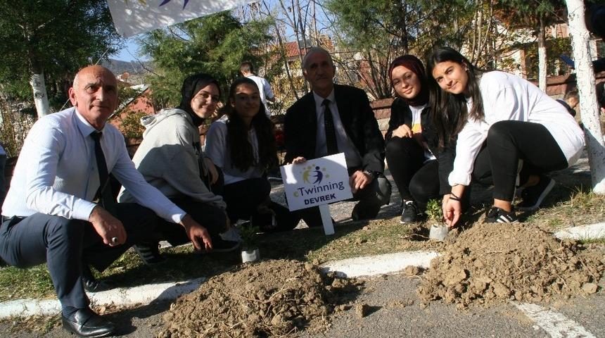 Devrek Ahmet Taner Kışlalı Ortaokulundan fidan dikimi