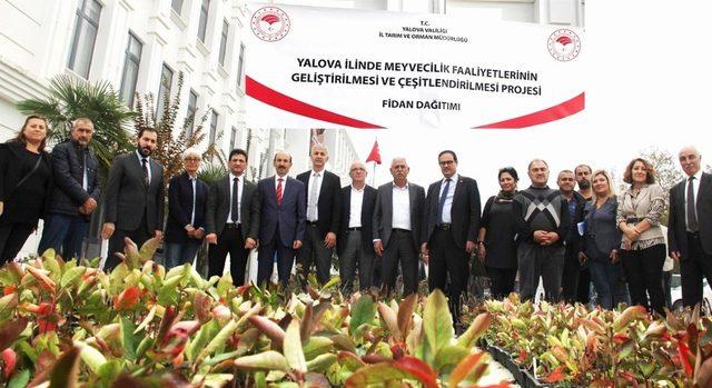 Yalovalı çiftçilere 182 bin fide ve fidan dağıtıldı