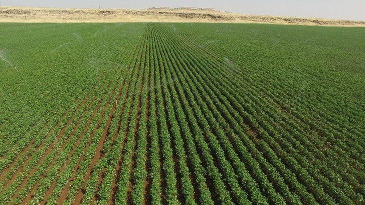 Sulama hibeleri ödenmeye başlandı G1