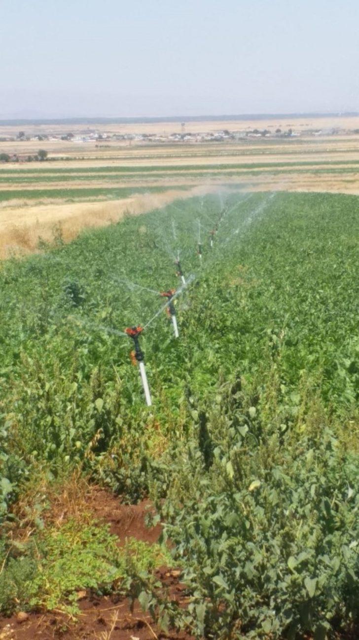 Sulama hibeleri ödenmeye başlandı G3