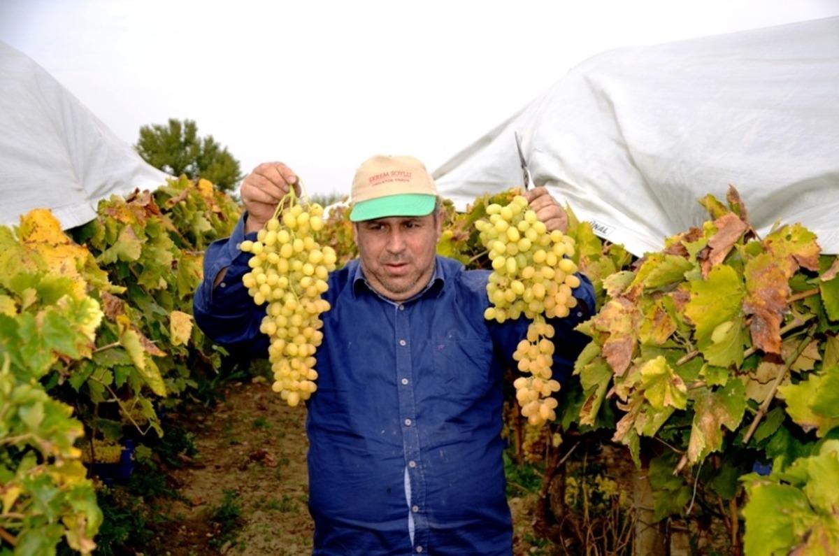 &Uuml;z&uuml;m &uuml;reticisi d&uuml;nyaya a&ccedil;ılmak i&ccedil;in hava kargo istiyor