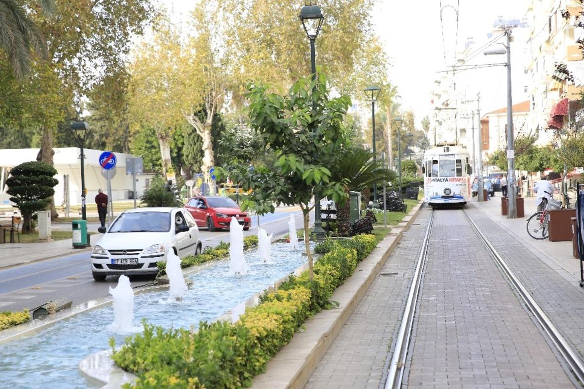 B&uuml;y&uuml;kşehir&rsquo;den Işıklar&rsquo;a 12 bin 500 adet &ccedil;i&ccedil;ek