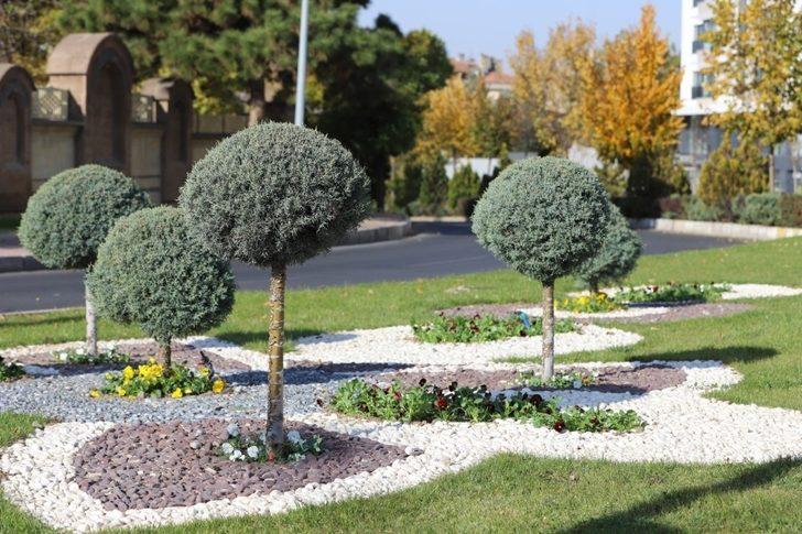 Mevsim çiçekleri Nevşehir’i süslüyor G4