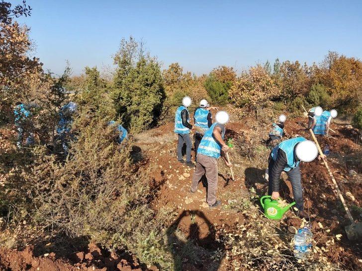 Adalet Ormanı’na hükümlüler tarafından 300 fidan dikildi G1