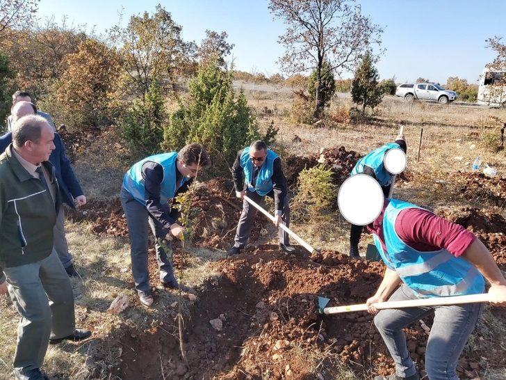 Adalet Ormanı’na hükümlüler tarafından 300 fidan dikildi G3