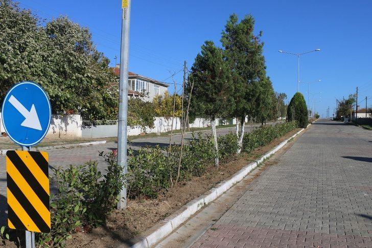 Çorlu’da ağaçlandırma ve temizlik çalışmaları sürüyor G1