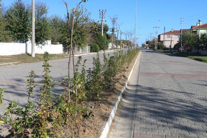 Çorlu’da ağaçlandırma ve temizlik çalışmaları sürüyor G2