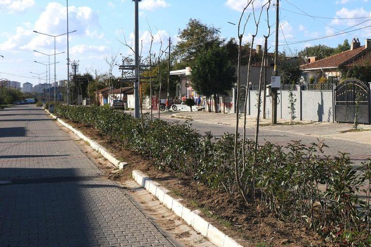 Çorlu’da ağaçlandırma ve temizlik çalışmaları sürüyor G3