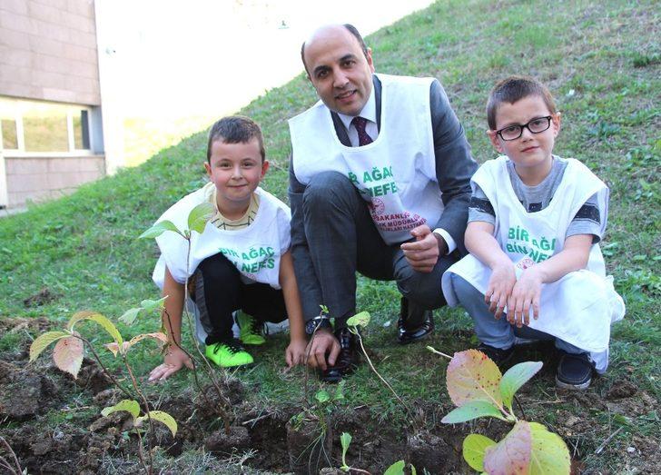 Ruh sağlığı hastaları geleceğe nefes oldu G1