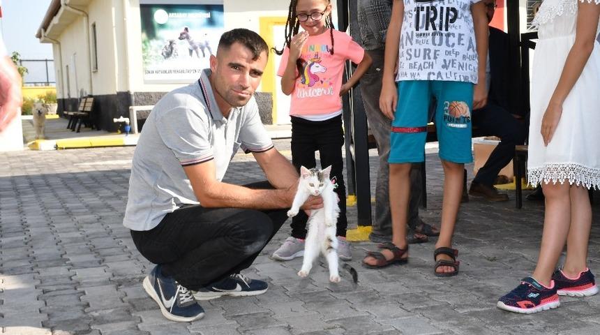 Aksaray Belediyesi sokak hayvanlarına şefkat eli uzatıyor