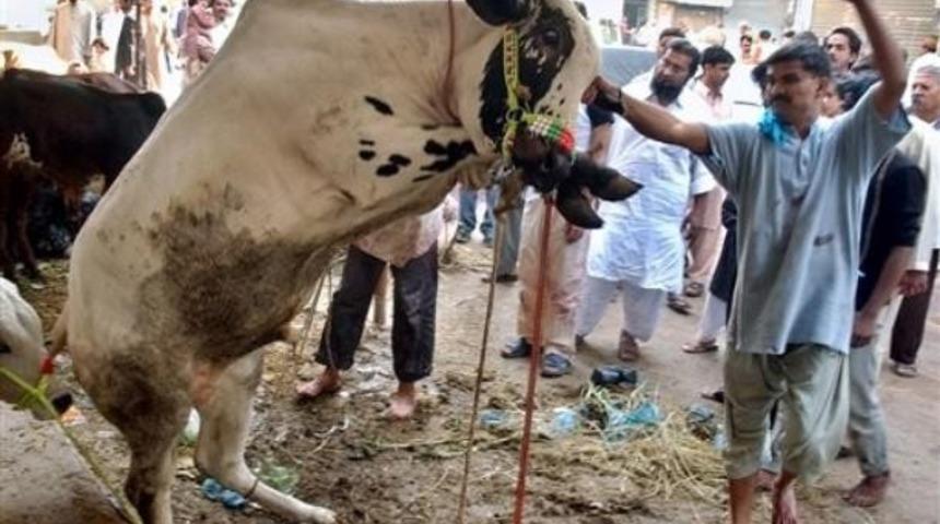 Dışkısından sabun, idrarından kozmetik ürün yapılacak!