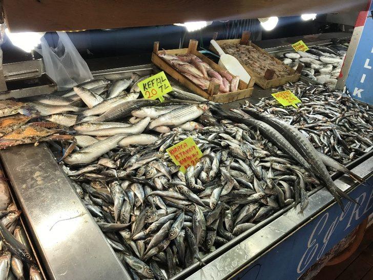 Balık fiyatları el yakıyor G2