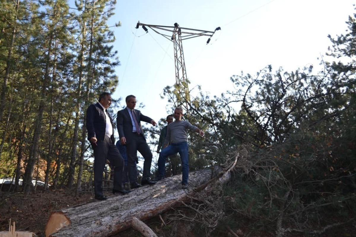 Tosya Dipsizg&ouml;l&rsquo;de enerji nakil hattı yenileniyor