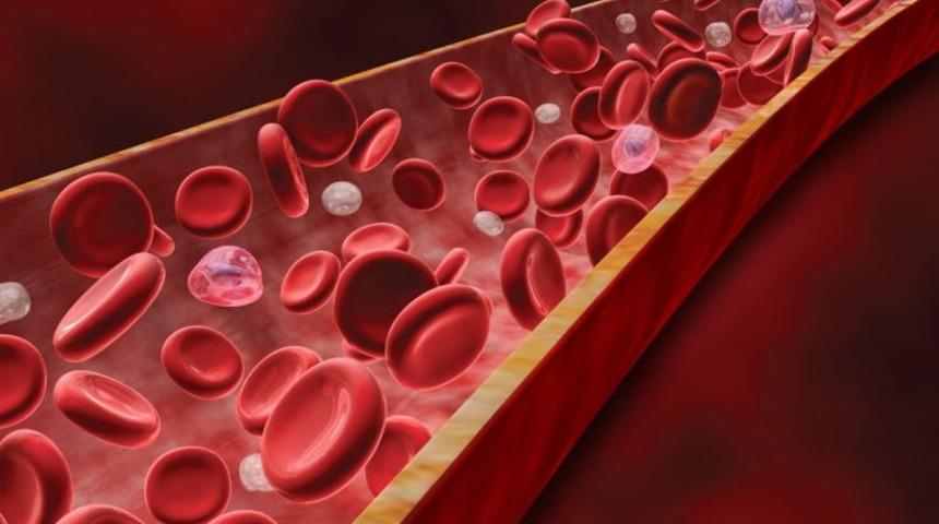 RDW Nedir? RDW D&uuml;ş&uuml;kl&uuml;ğ&uuml;, Y&uuml;ksekliği, Normal Değeri