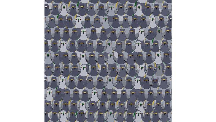 En zor dikkat testi! Bu soruları çok az kişi doğru cevaplıyor G2