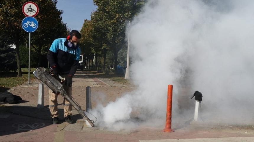 Sivrisinek ile m&uuml;cadele devam ediyor