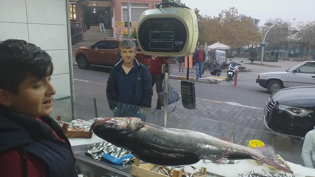 Levreğin fiyatı dudak u&ccedil;uklattı! 100 kilo fındığı olan bu balığı alabilir