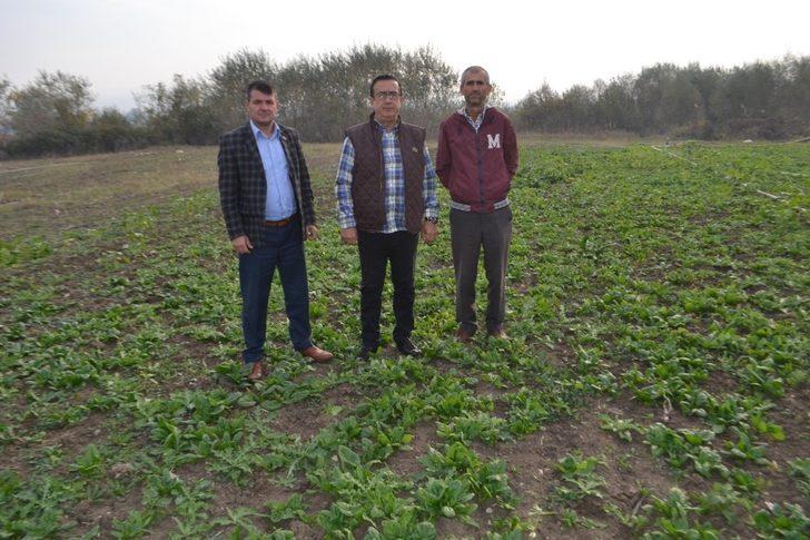 Ispanak zehirliyor haberlerine tepki G2