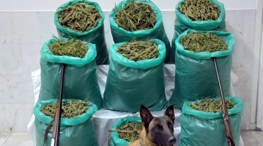 Muğla Jandarması 115 kilo esrar ele ge&ccedil;irdi