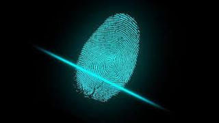 Patlayıcılarda milletvekilinin oğlunun parmak izi tespit edildi