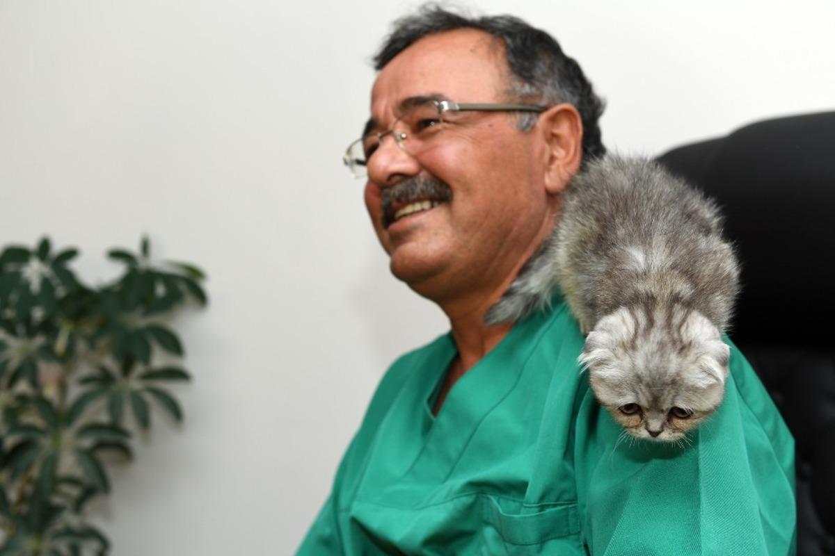 Yavru kedi cerrahi m&uuml;dahale ile hayata tutundu