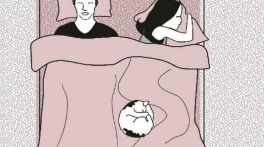 Evcil hayvanlarınızın uyuma şekilleri karakterlerini ele veriyor! 