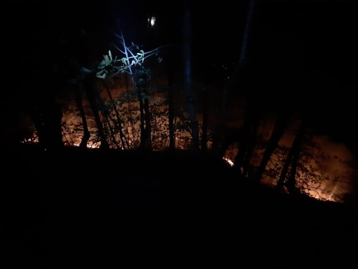 Ordu&rsquo;da orman yangınları kontrol altında