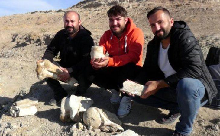 Kayseri'de bulundu! 7,5 milyon yıllık G4