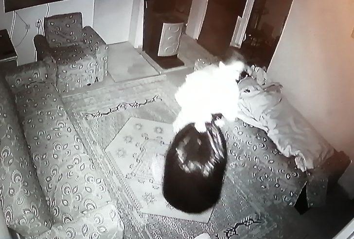 İzmir'de küçük çocuğu döven bakıcı hakkında suç duyurusu G3