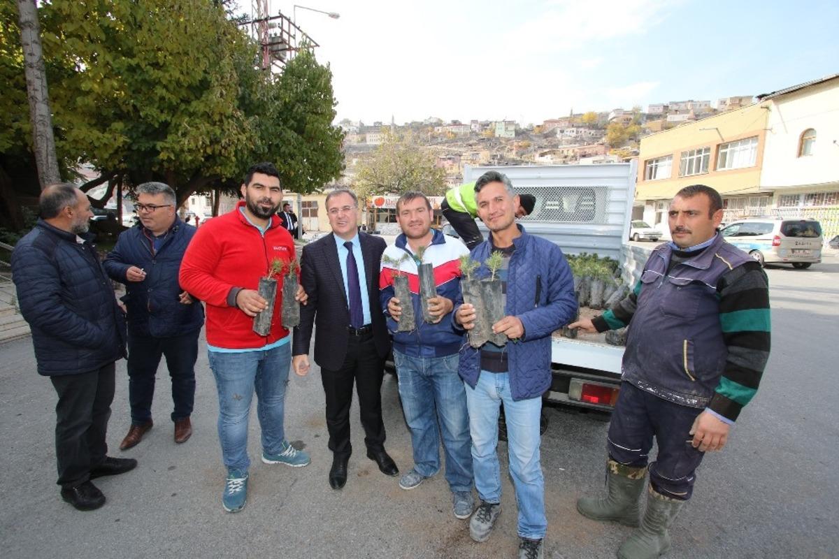 Hacılar&rsquo;da yeşil bir &ccedil;evre i&ccedil;in bin fidan dağıtıldı