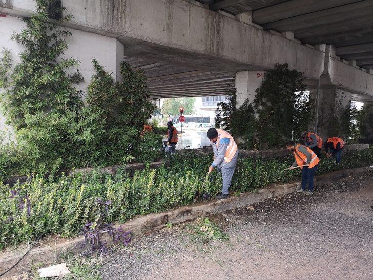 Devrilen ağaçlara müdahale G1