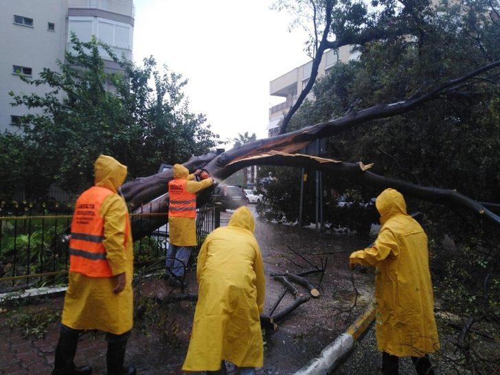 Devrilen ağaçlara müdahale G2