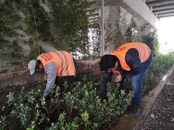 Devrilen ağaçlara müdahale G3