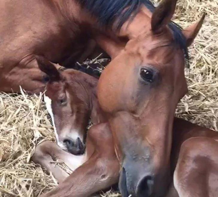 Annesiyle hiç fotoğrafı olmayan kıza büyük sürpriz! G4