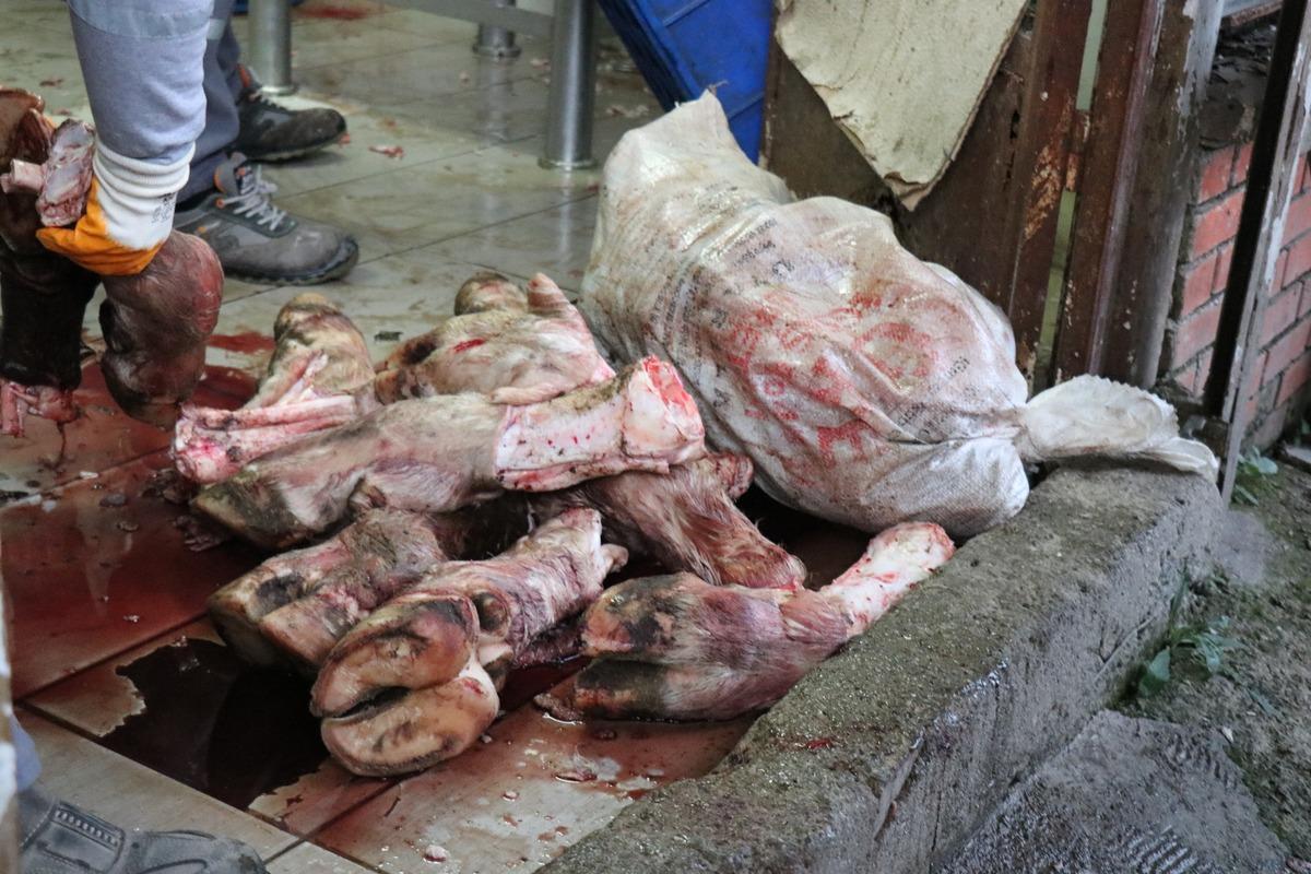 Sakarya'da ele ge&ccedil;irildi! Tam 20 ton