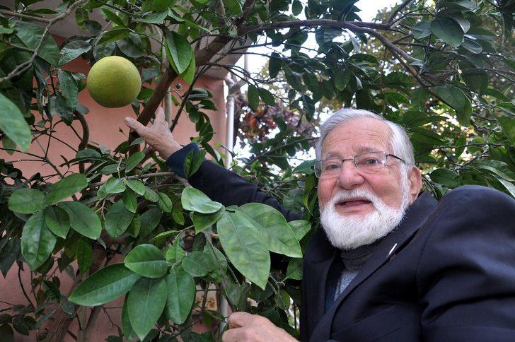 'Şadok', görenleri şaşırtıyor G4