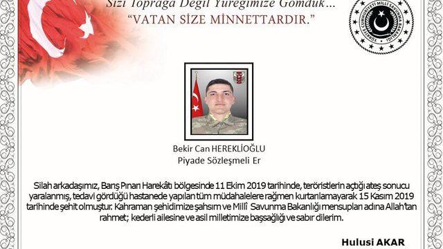 MSB: Barış Pınarı Harekatı'nda yaralanan asker şehit oldu (2)