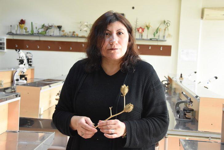 İki kişi hastanelik olmuştu! 'Tatula' bitkisi için çok zehirli uyarısı geldi G1