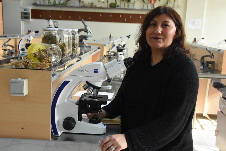 İki kişi hastanelik olmuştu! 'Tatula' bitkisi için çok zehirli uyarısı geldi G4