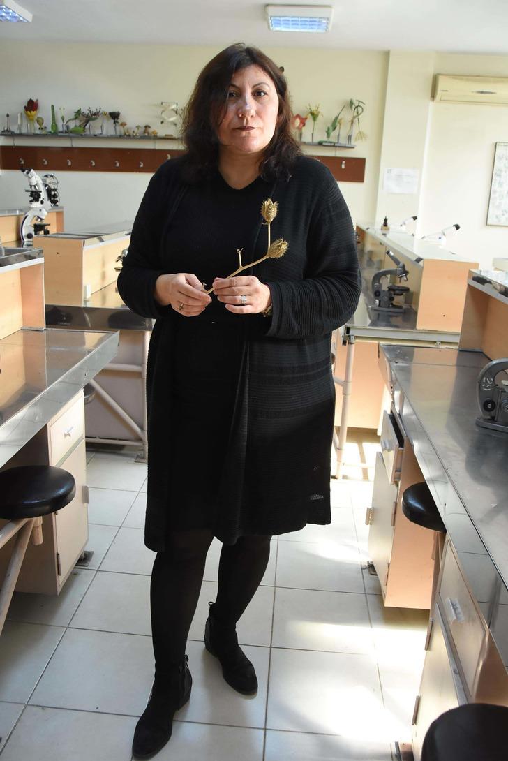 İki kişi hastanelik olmuştu! 'Tatula' bitkisi için çok zehirli uyarısı geldi G5