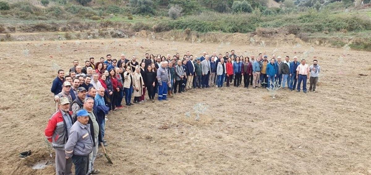 AD&Uuml; &ouml;ğrencileri 20 bin fidan dikti