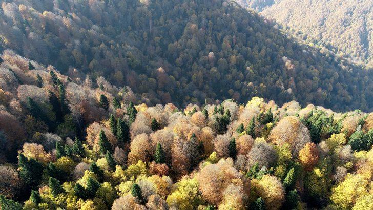 Gümeli’de sonbahar ayrı güzel! G4