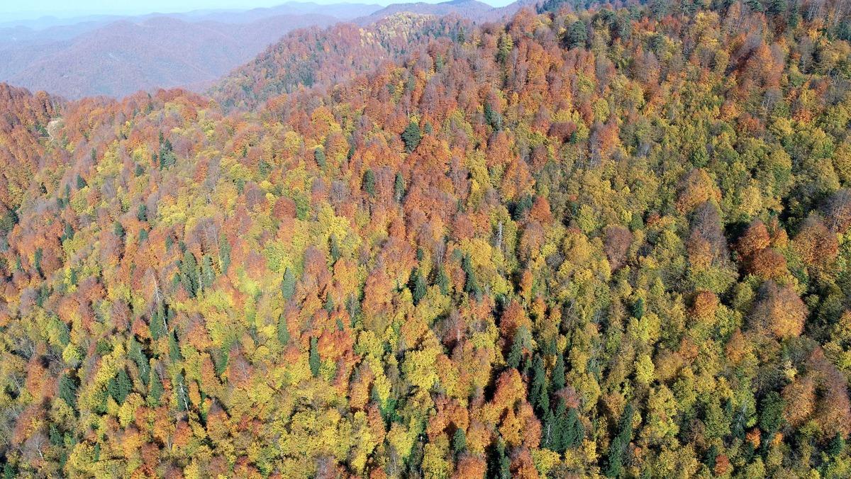 G&uuml;meli&rsquo;de sonbahar ayrı g&uuml;zel!
