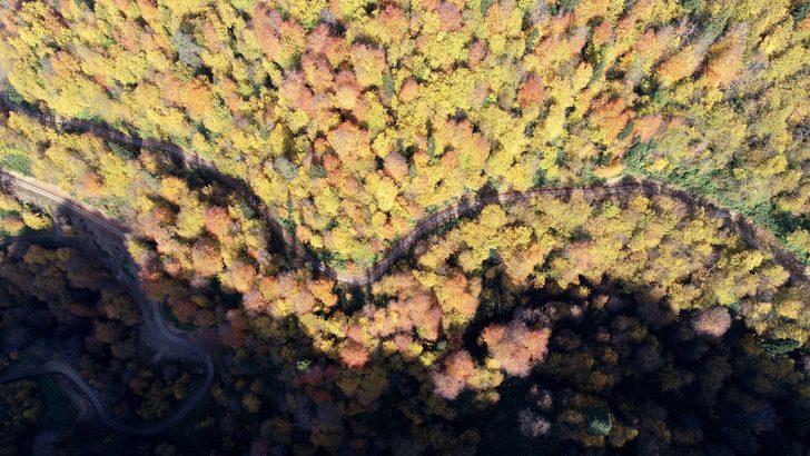 Gümeli’de sonbahar ayrı güzel! G2