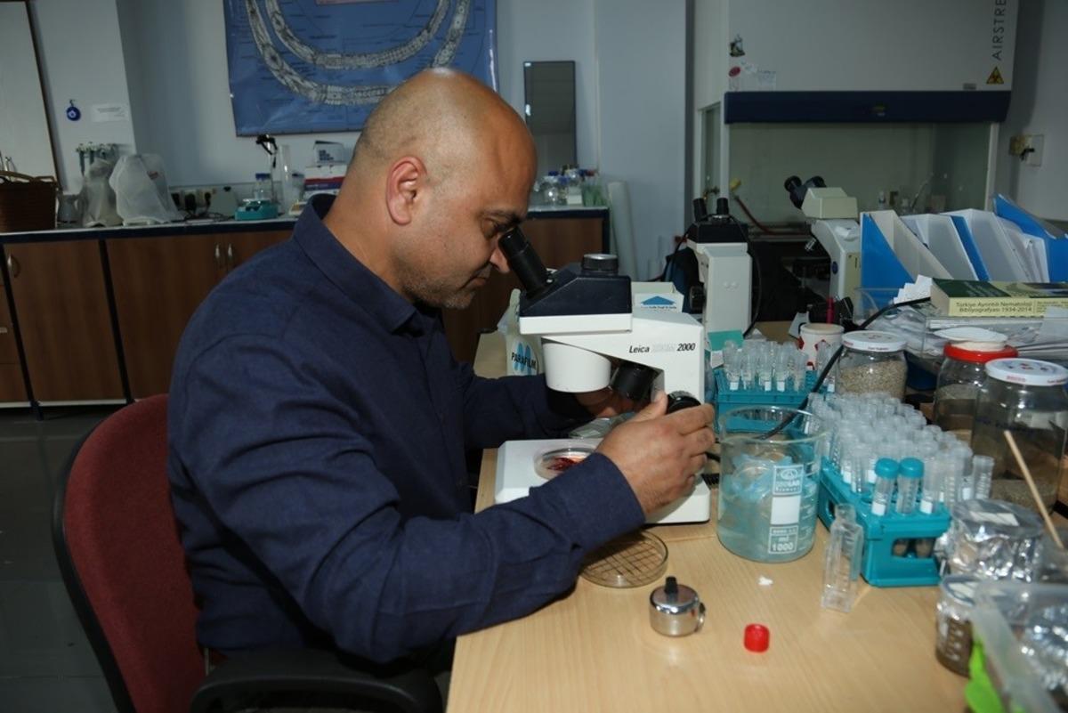 AD&Uuml; &Ouml;ğretim &Uuml;yesi Uluslararası Mikrobiyoloji dergisinin edit&ouml;rl&uuml;ğ&uuml;ne se&ccedil;ildi