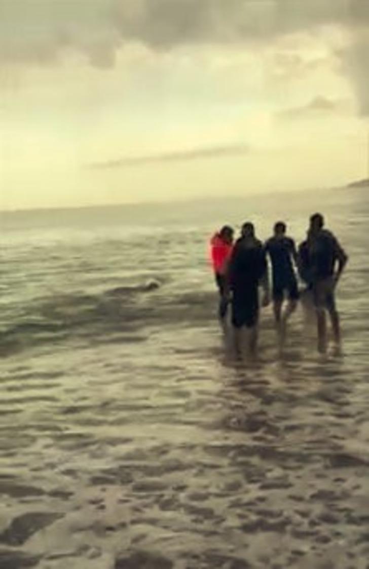 Antalya'da sahile vuran dev balina kurtarıldı G5