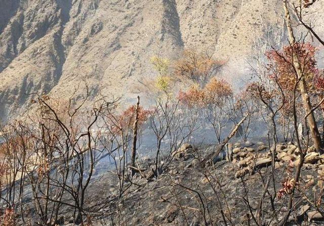 Hakkari Kırıkdağ mezarlığında yangın çıktı