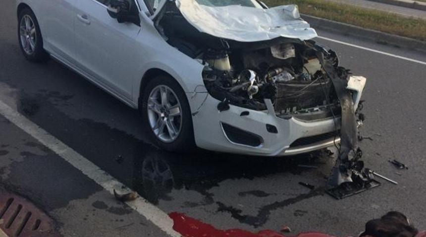 Otomobil başıboş gezen ineğe çarptı